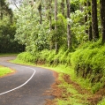 Photo 007